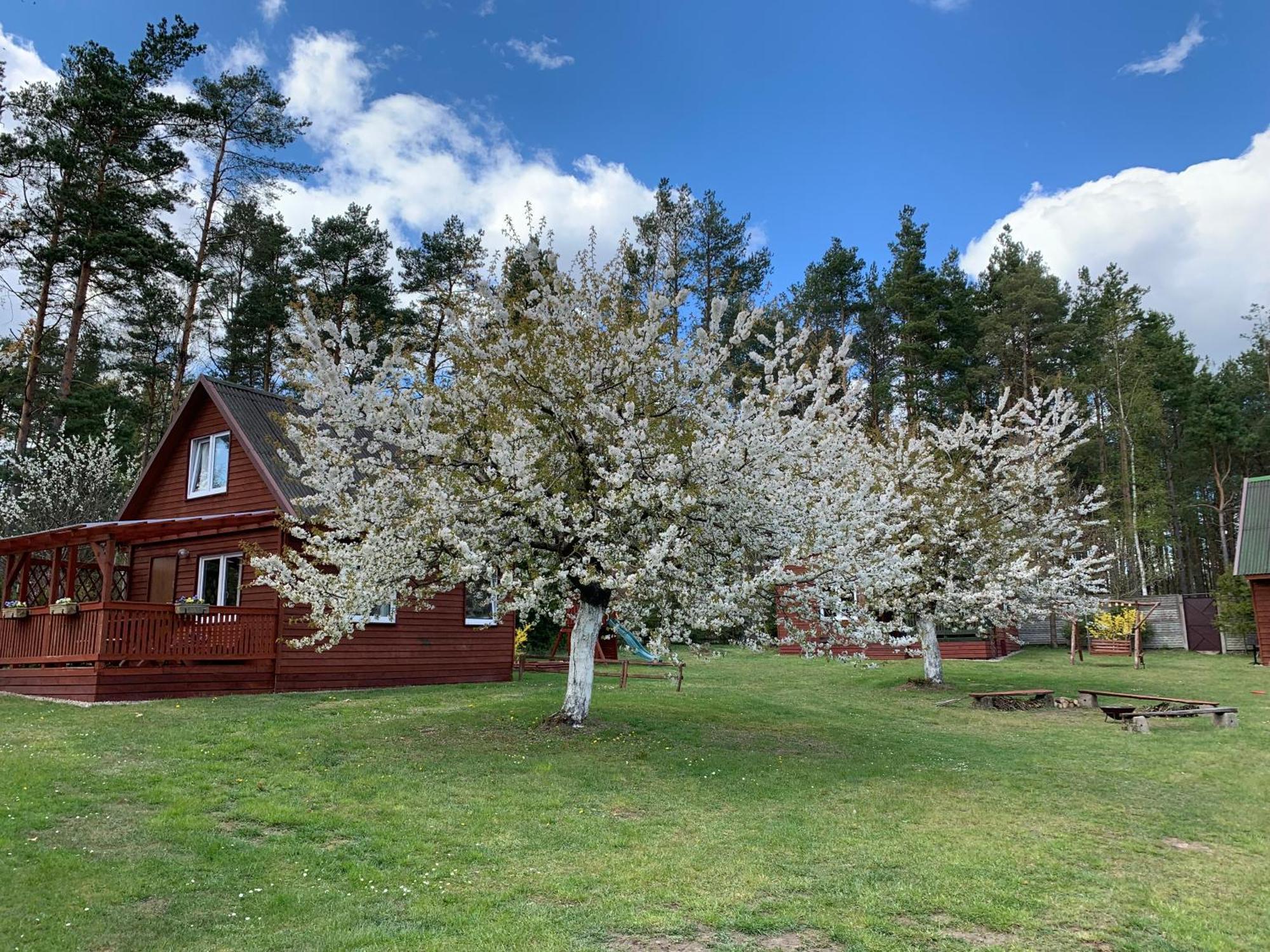 Villa Gryfne Kaszuby Kamienica Krolewska Exterior foto